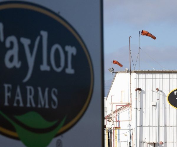 Taylor Farms Lettuce Test for Cyclospora Was False Positive: FDA