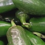 New food items recalled over salmonella outbreak 
