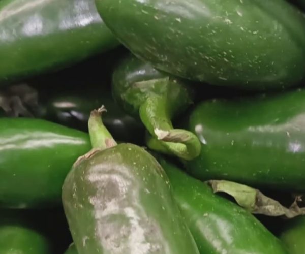 New food items recalled over salmonella outbreak 