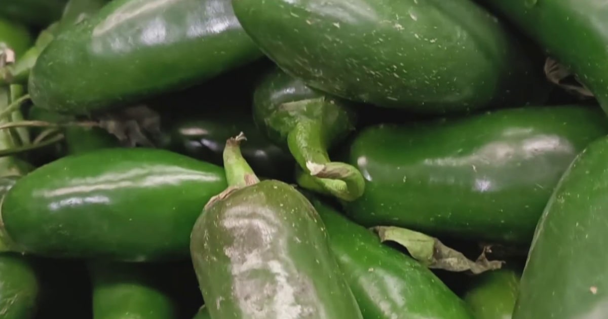 New food items recalled over salmonella outbreak 